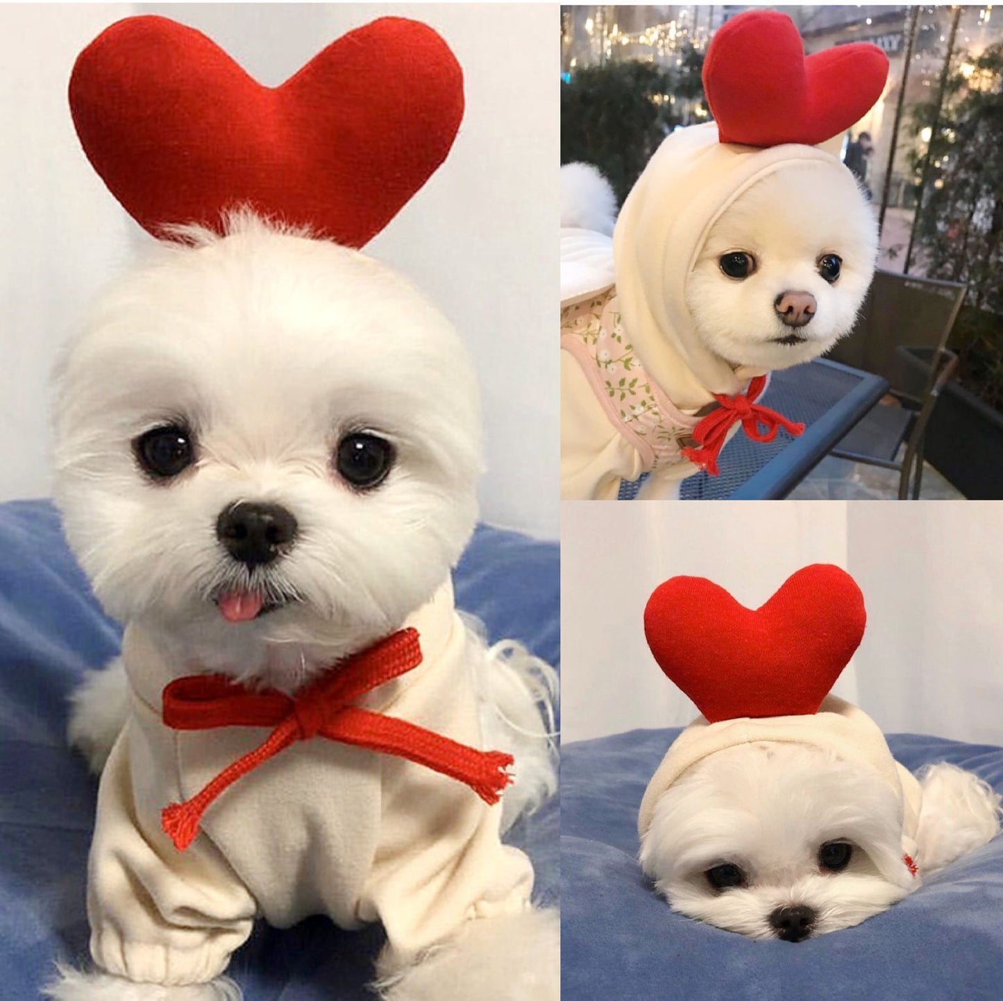 πΈ Adorable Animal Hoodie for Dogs β Fun Costumes in Various Styles & Colours