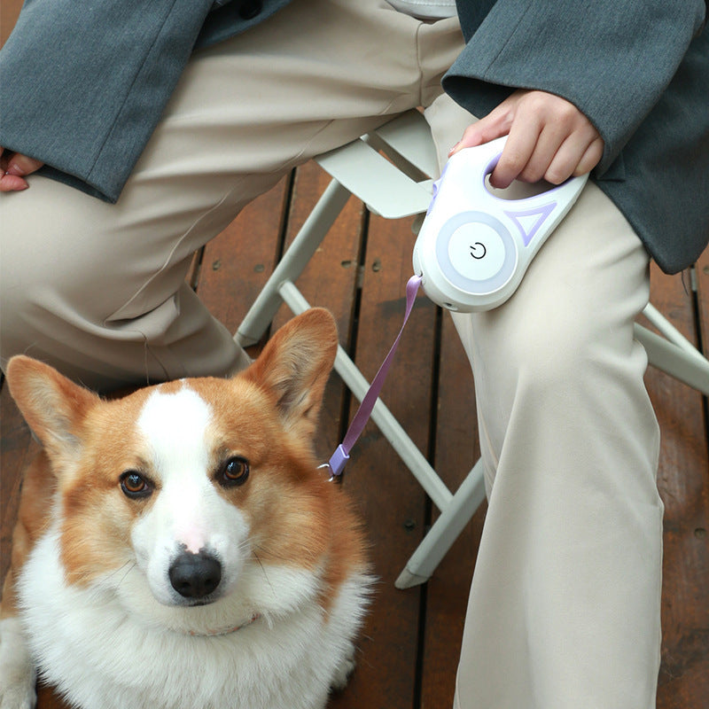 LED Retractable Dog Lead with Built-in Torch – Stylish Night Walk Leash for Pets