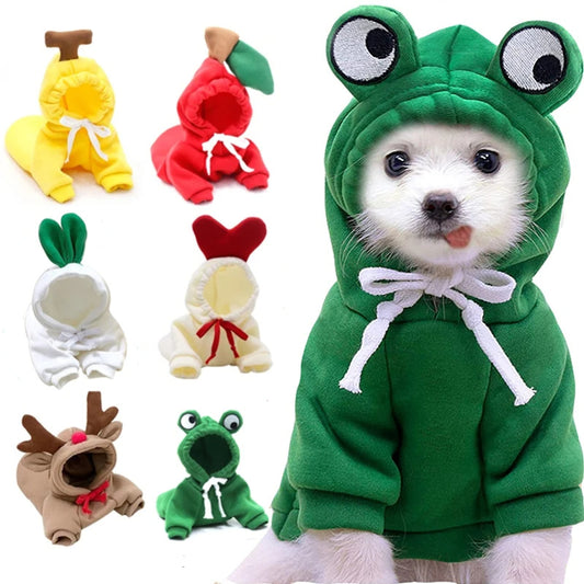 🐸 Adorable Animal Hoodie for Dogs – Fun Costumes in Various Styles & Colours